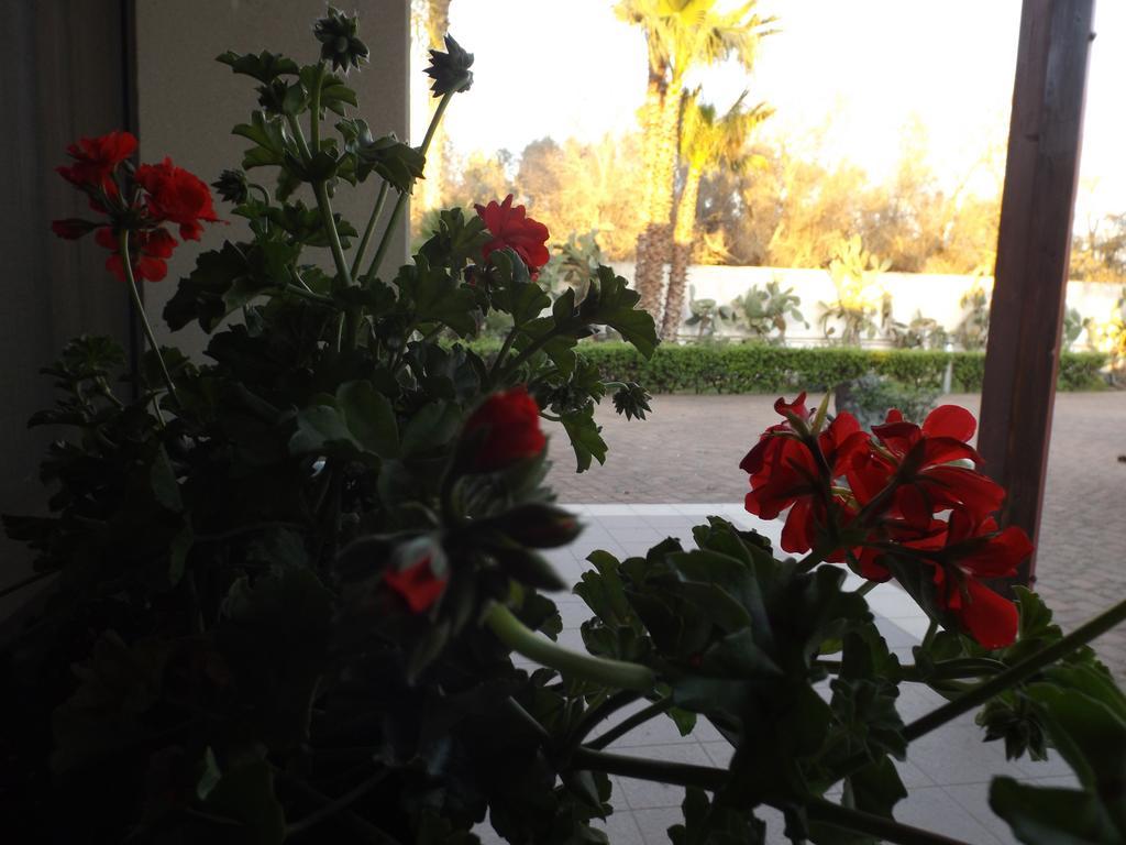 Bed & Breakfast Del Salento Exclusive